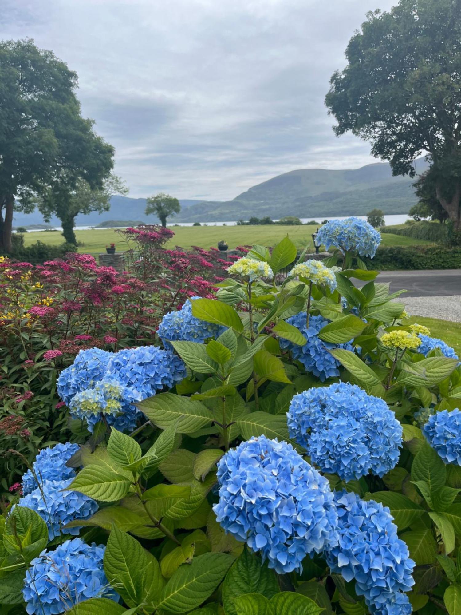 Loch Lein Country House كيلارني المظهر الخارجي الصورة